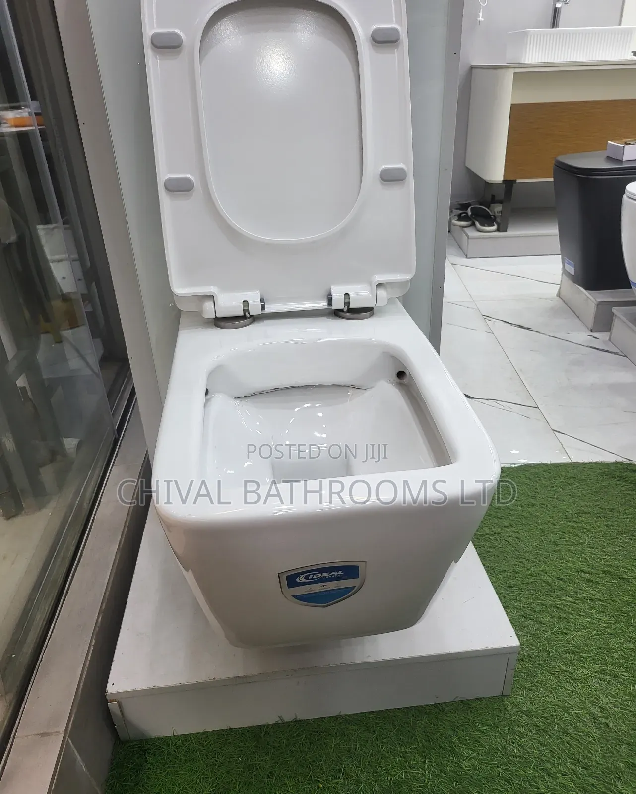 Wall Hung Visible Tank Wc