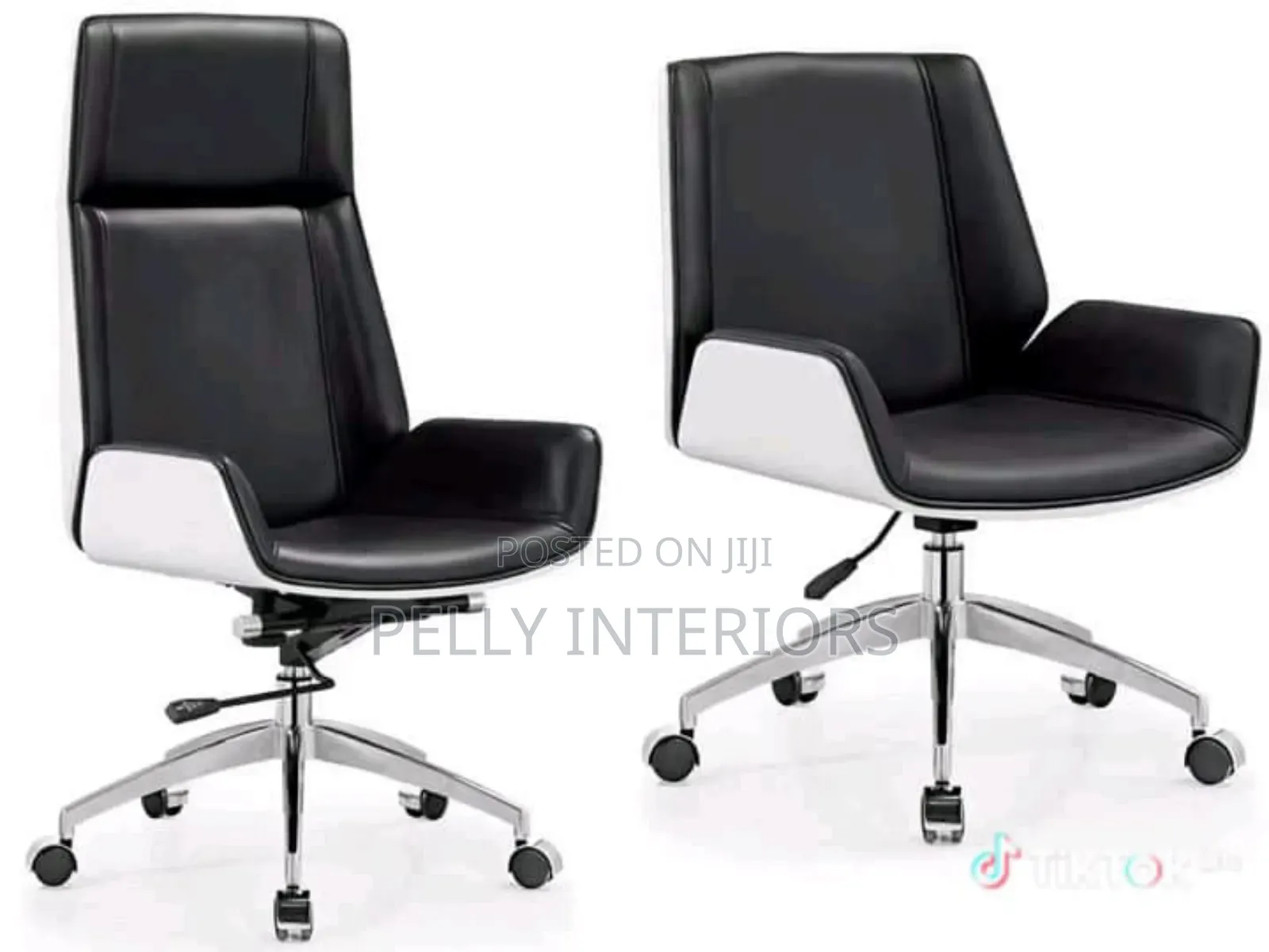 Executive Office Swivel Chair and Visitor Chair