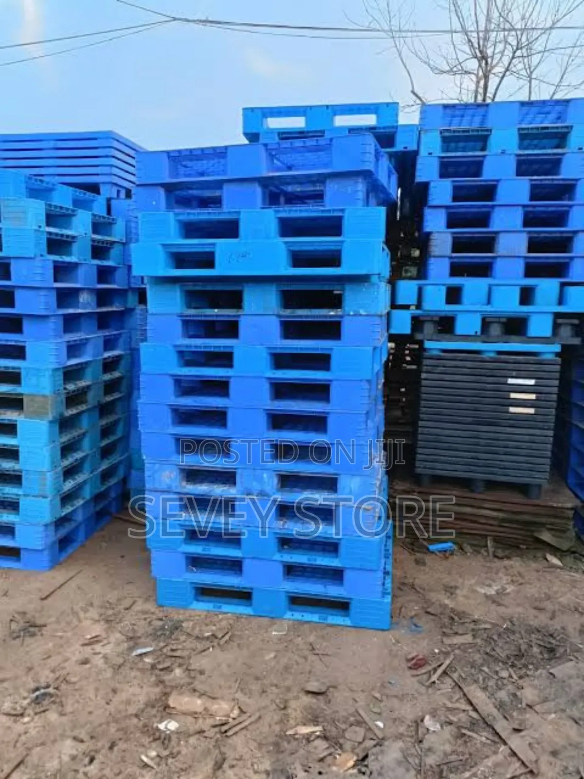 Plastic Pallets for Warehousing