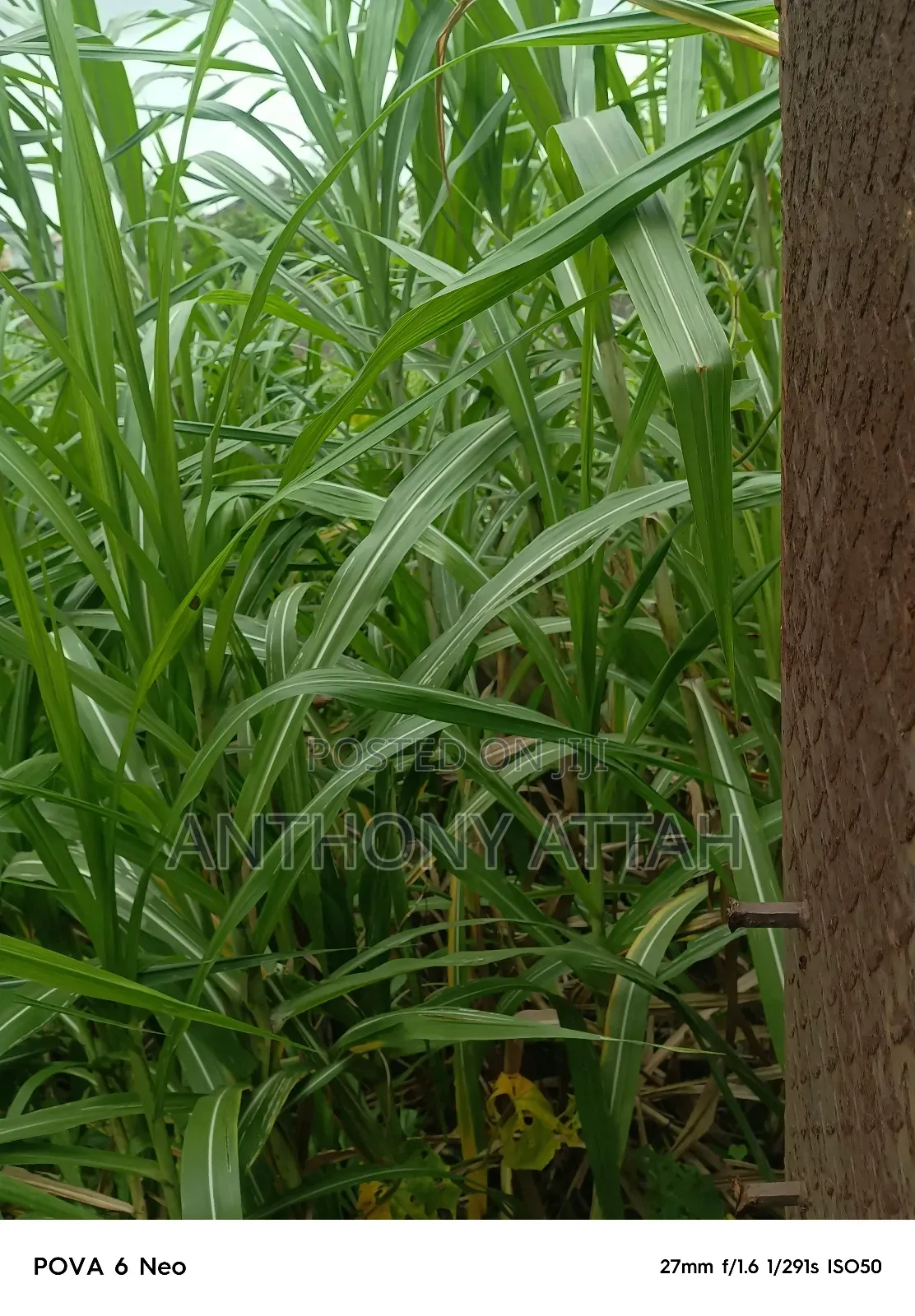 A Full Plot of Land at Gemade Est Egbeda LGS