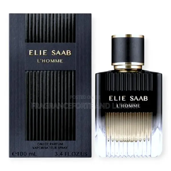 Elie Saab l'Homme Edp 100ml for Men