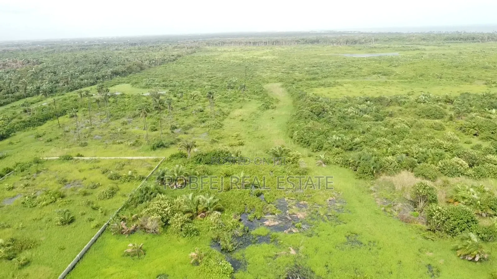 Prime 2 Acres Land in Iwerekun