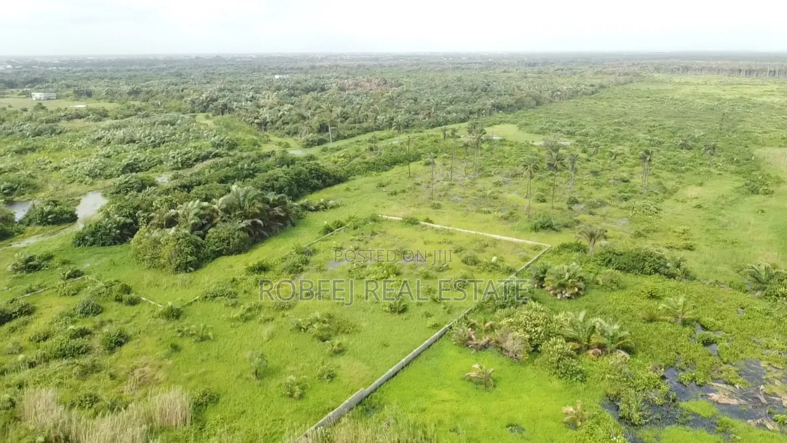 Prime 2 Acres Land in Iwerekun