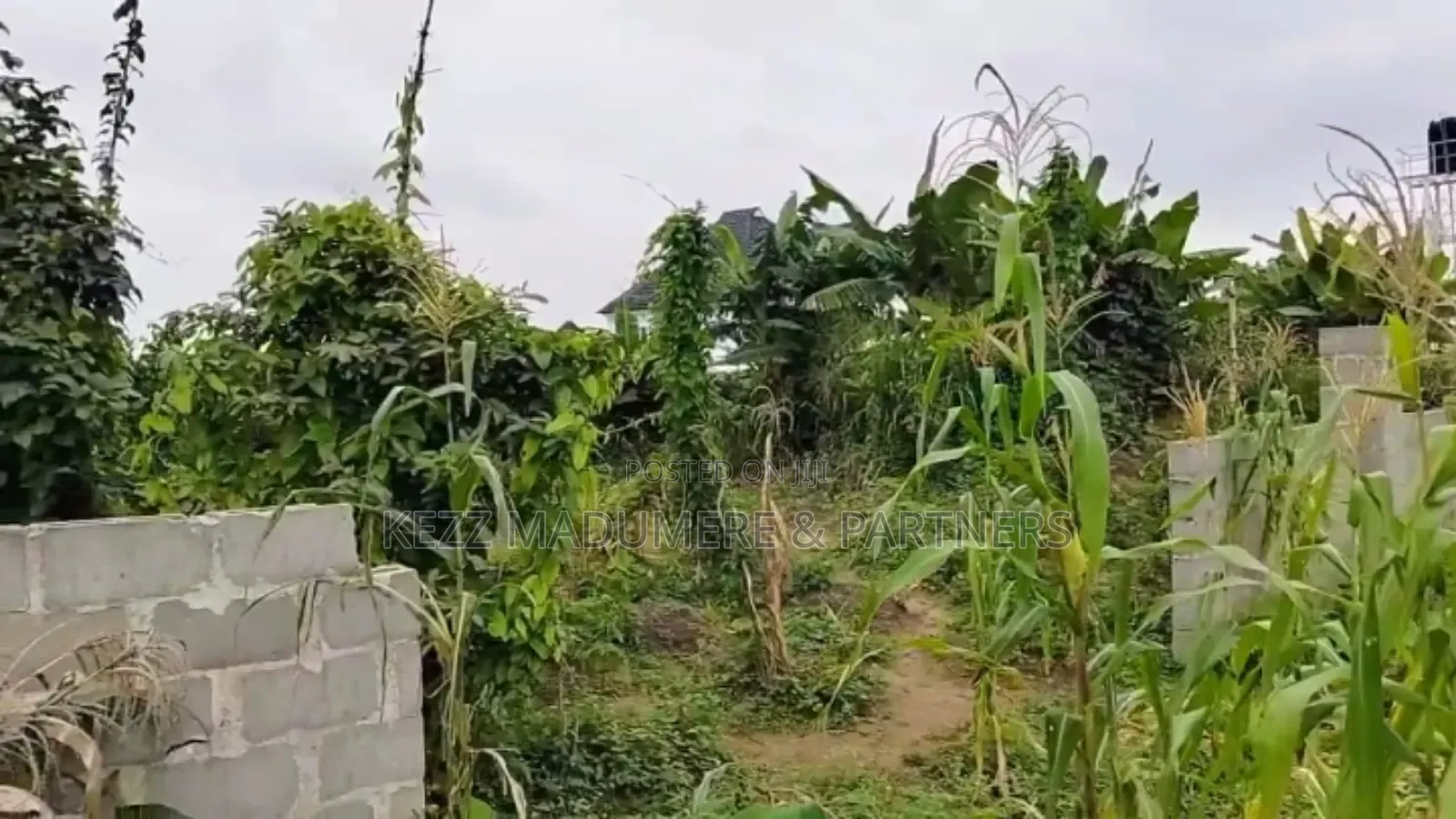 For Sale : 61⁄2 Plots on G.U.Aker Rd, Eliozu Major Rd Ph