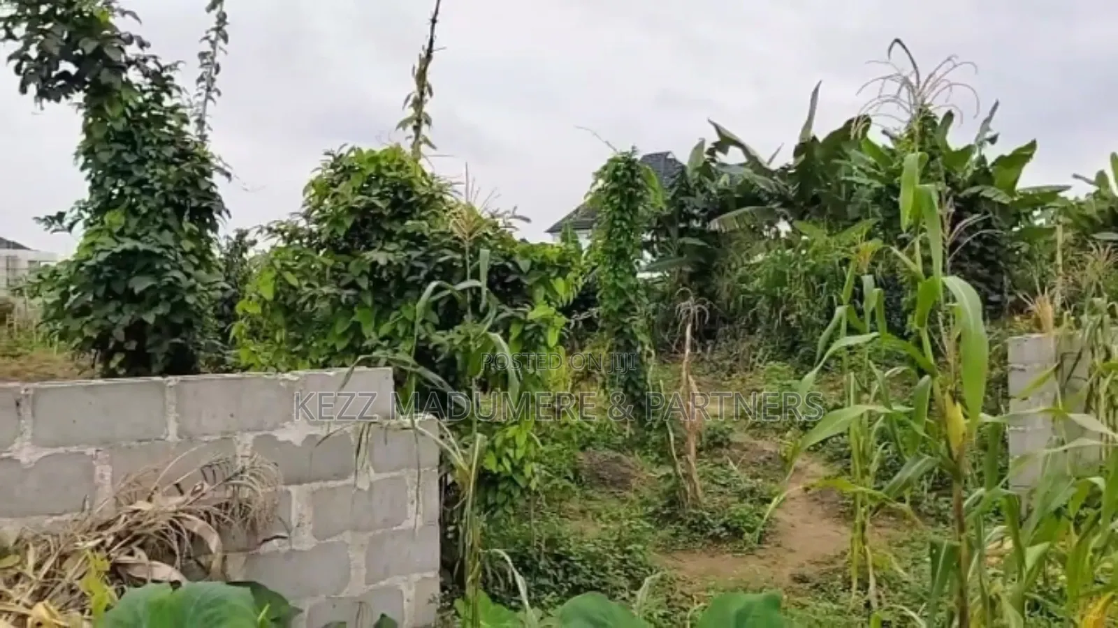 For Sale : 61⁄2 Plots on G.U.Aker Rd, Eliozu Major Rd Ph