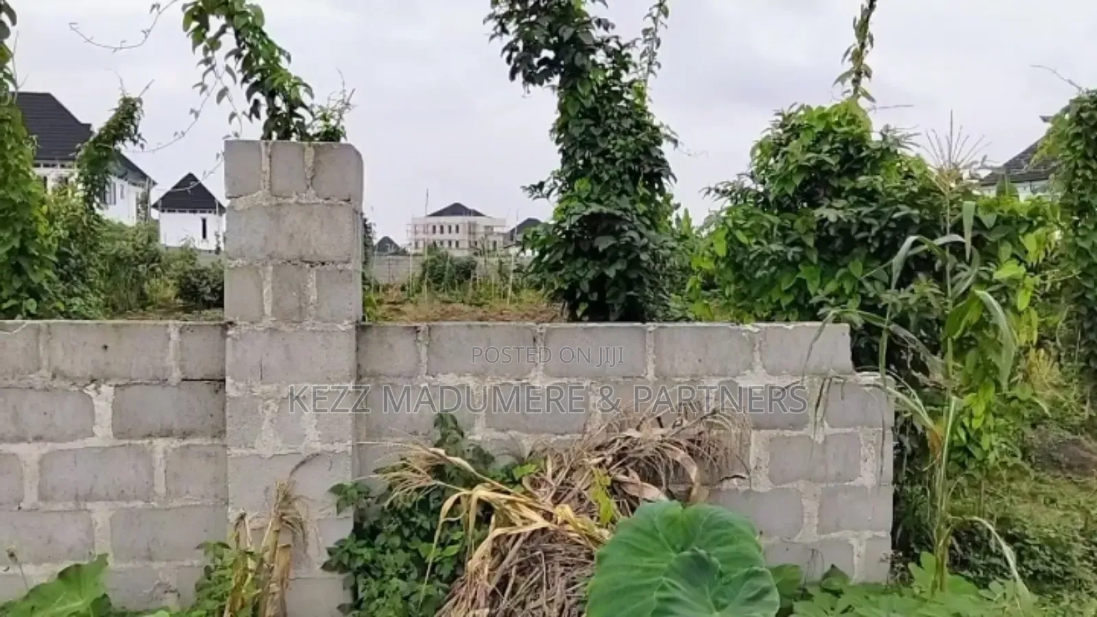 For Sale : 61⁄2 Plots on G.U.Aker Rd, Eliozu Major Rd Ph