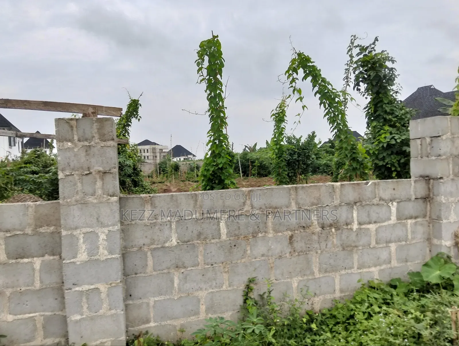 For Sale : 61⁄2 Plots on G.U.Aker Rd, Eliozu Major Rd Ph