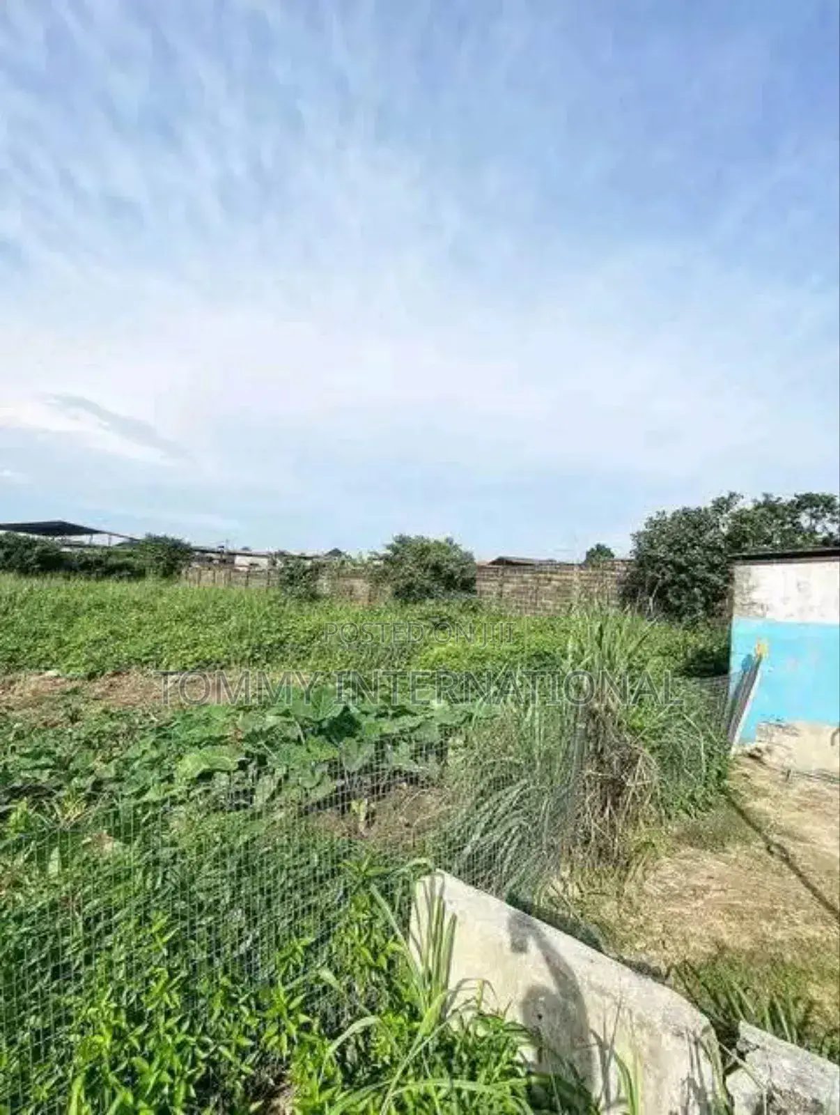 Fourteen Plots of Land