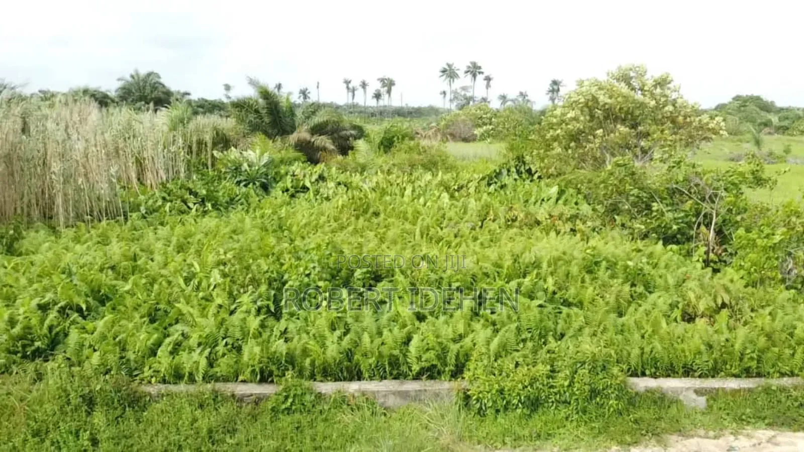 2 Acres Land Near Coastal Road