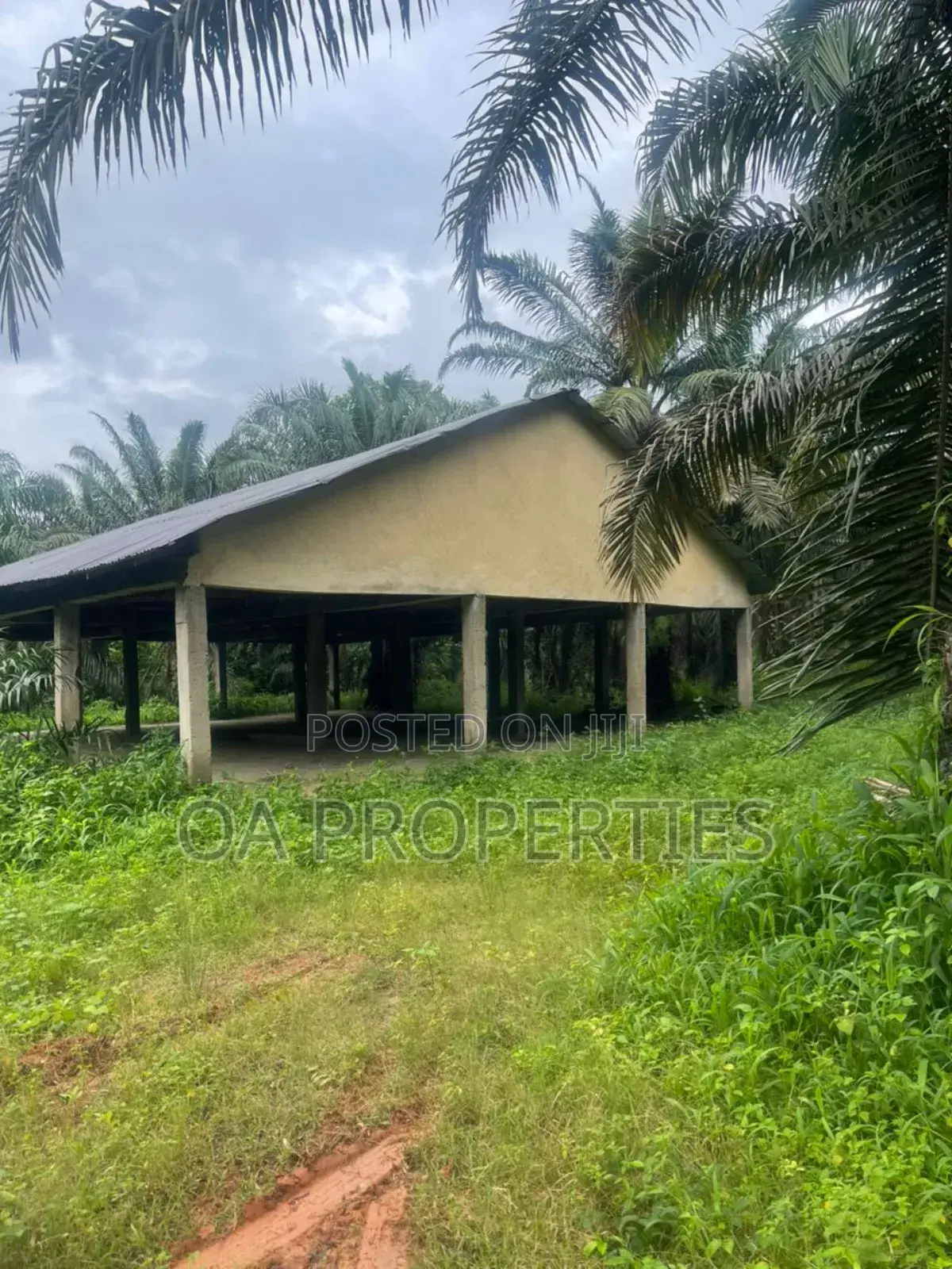 Acres of Palm Trees Land at Ijebu East,Off Benin / Ore Road