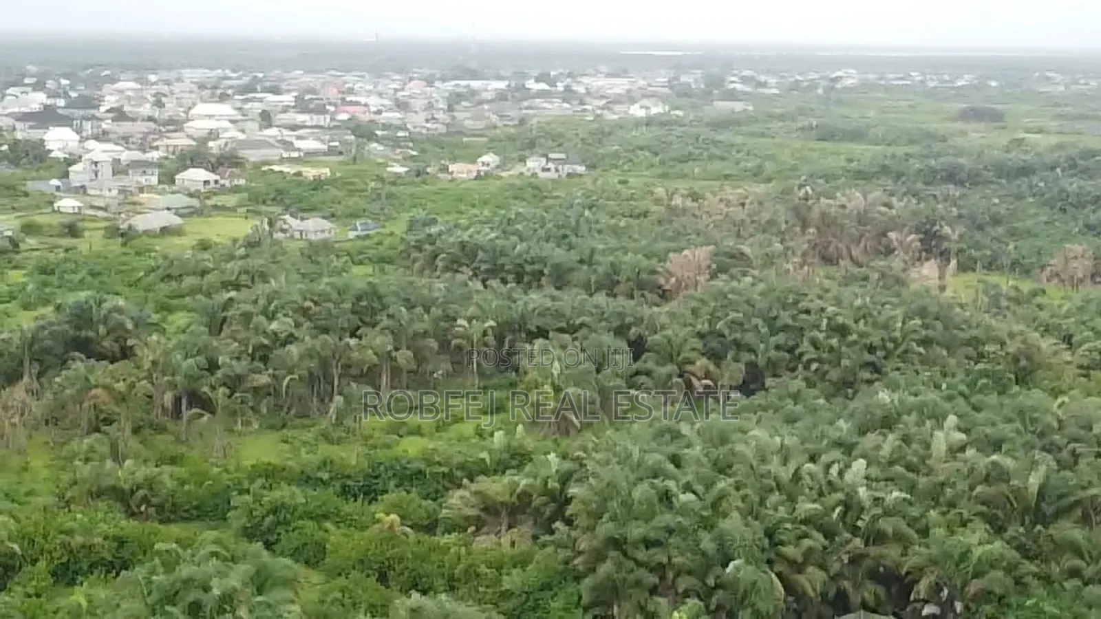 Urgent Sales 50 Acres Land