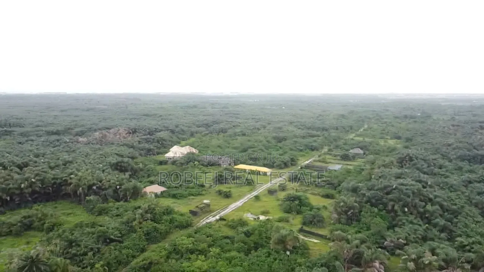 Urgent Sales 50 Acres Land