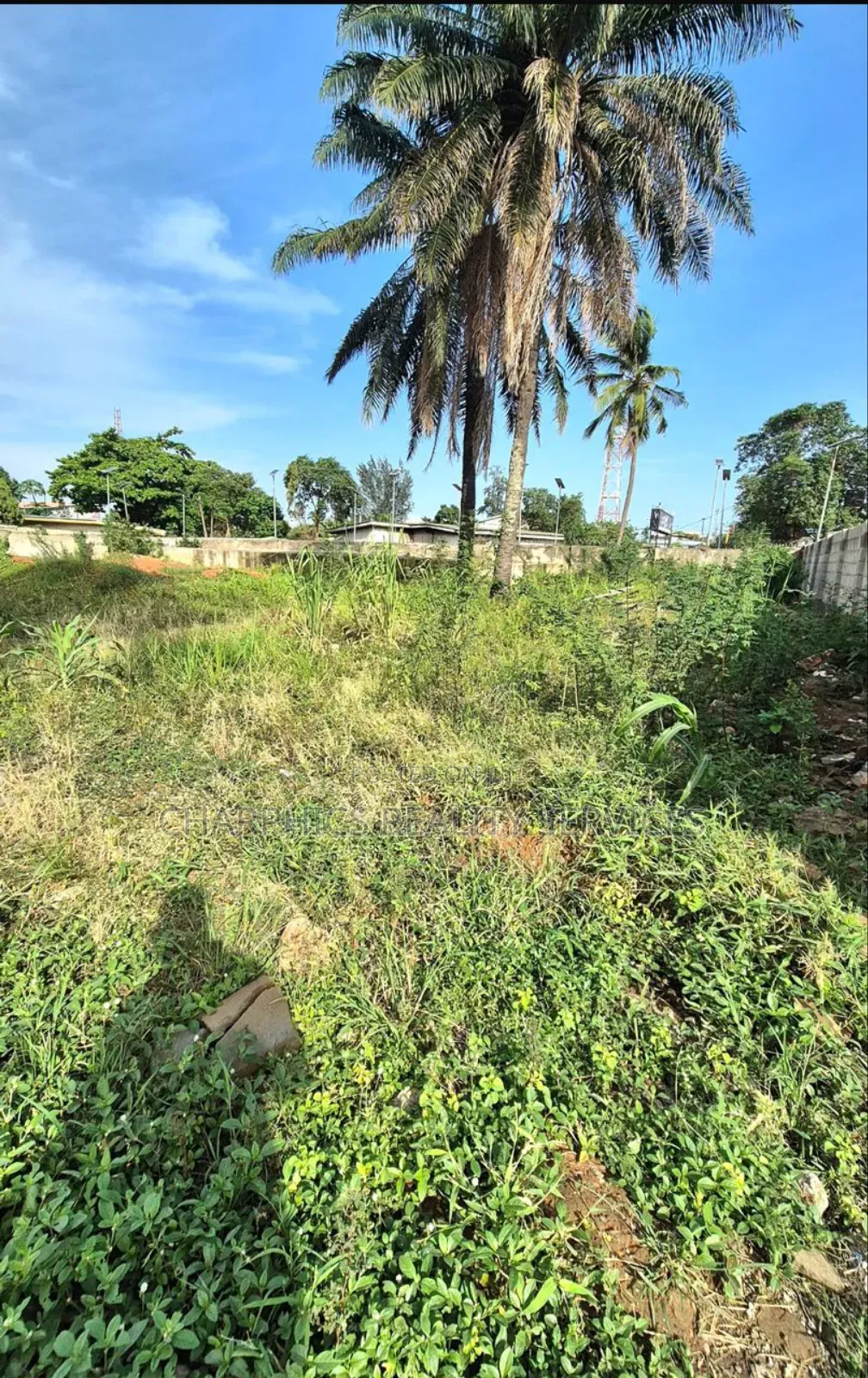 4,136 SQM Land for Sale or Lease at Gra Ikeja