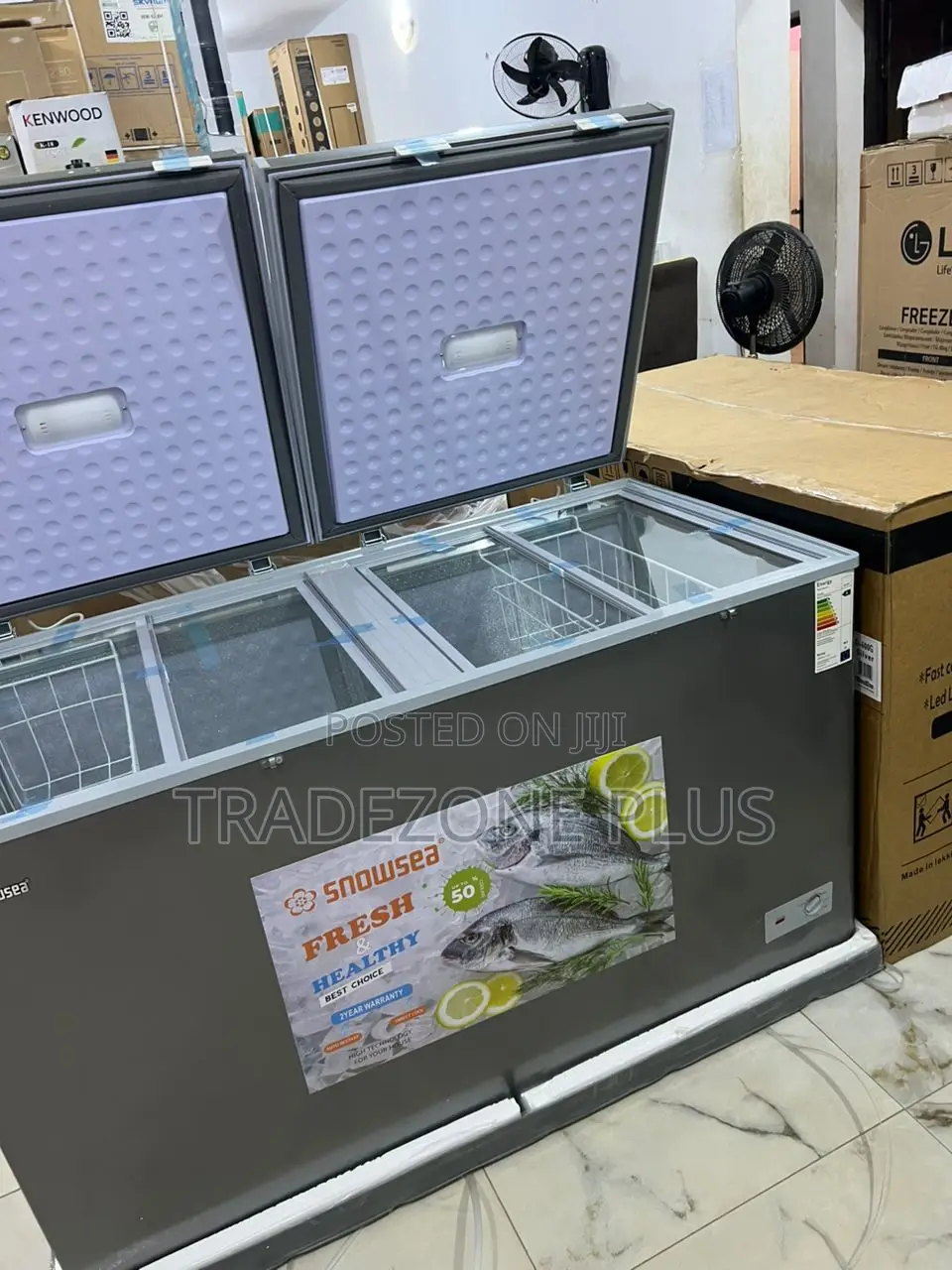 Snowsea 420l Freezer Bd-600g: The Ultimate Storage Solution