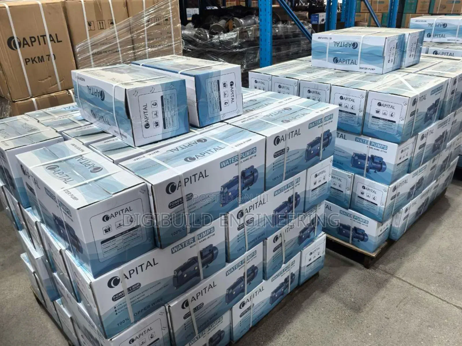 1hp Capital Surface Pump