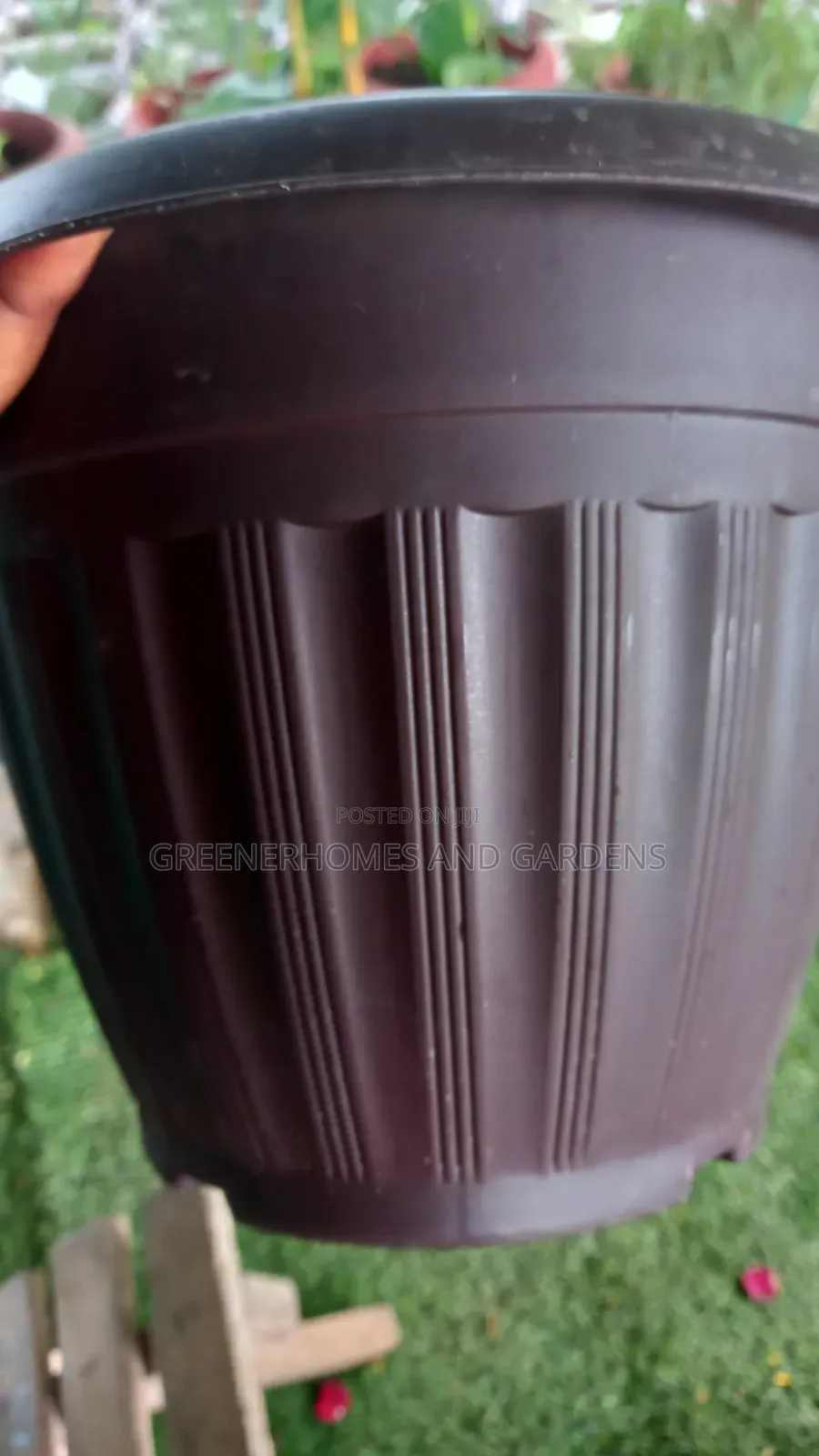 Flower Pots/Planters