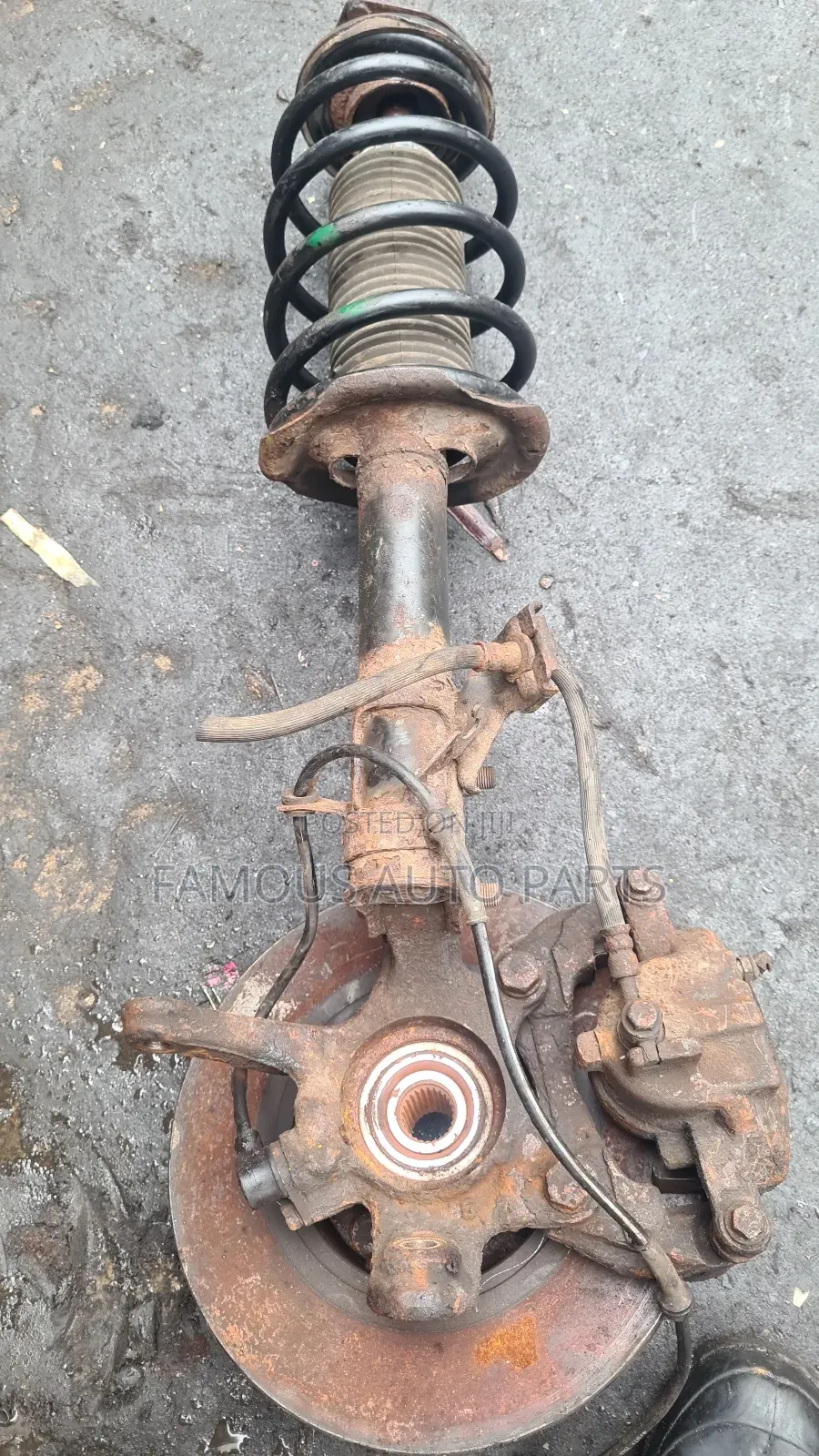 Complete Shock Dick With Hub Nissan Almera 2500