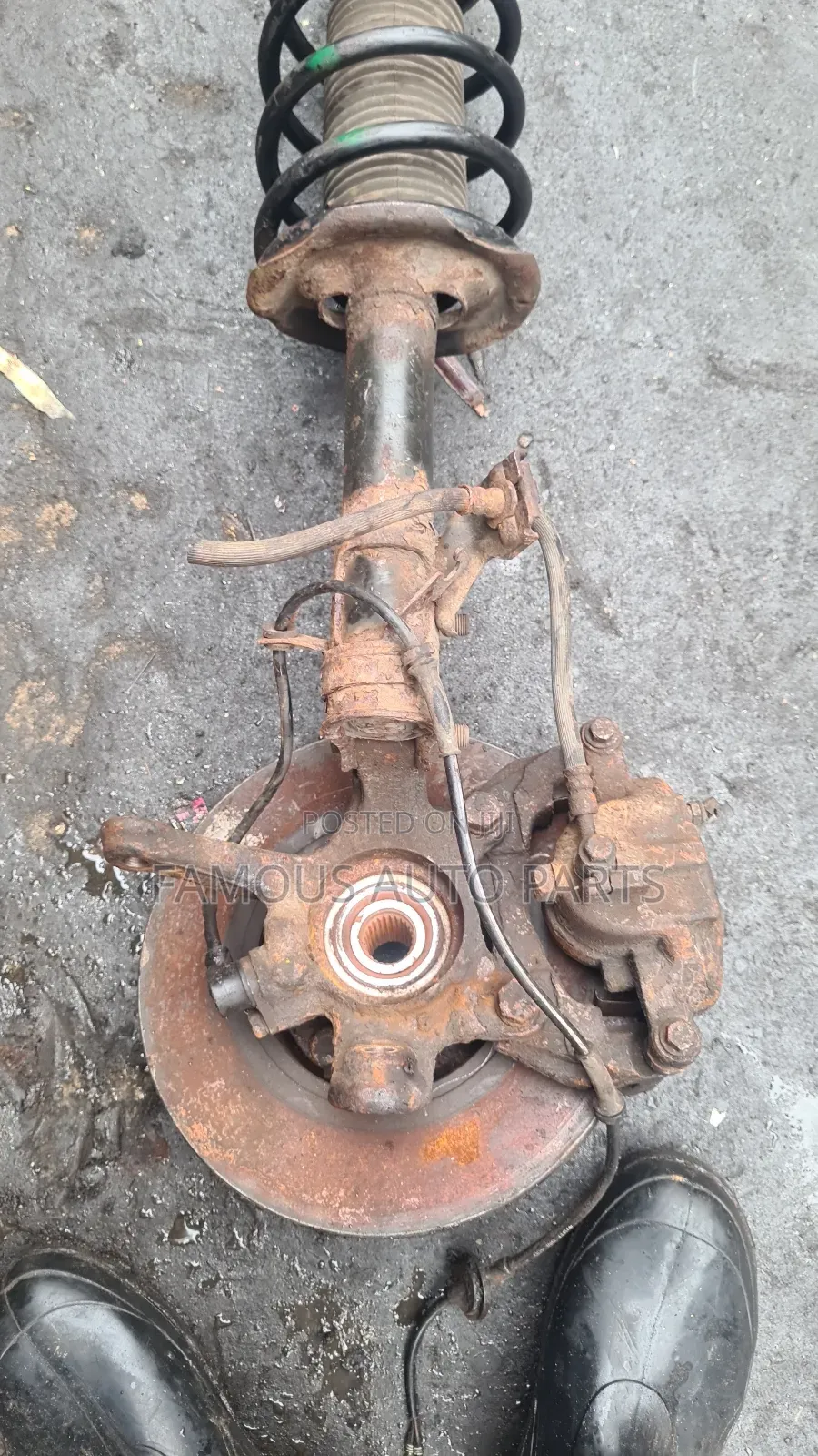 Complete Shock Dick With Hub Nissan Almera 2500