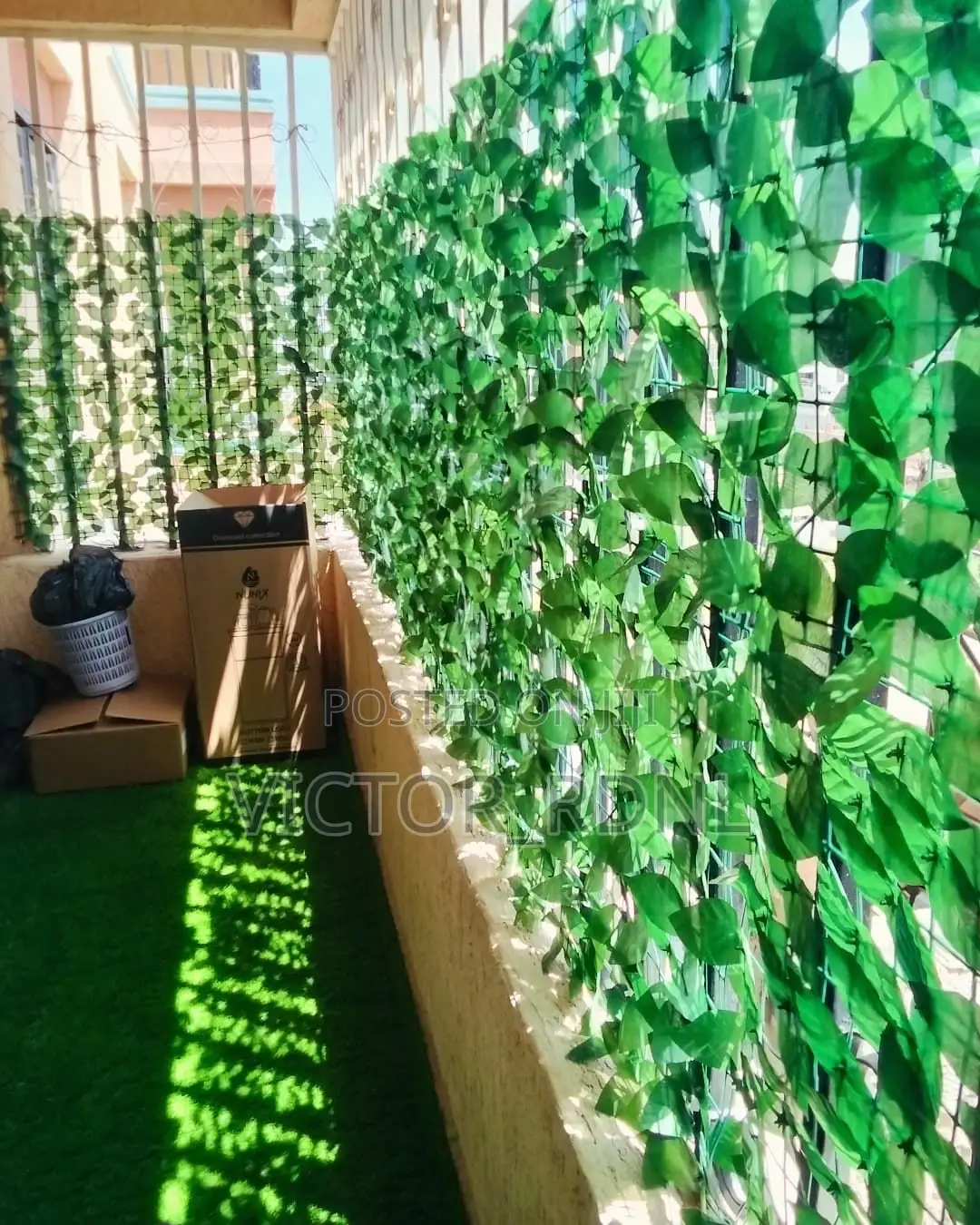 Morden Wall Flower Leaves