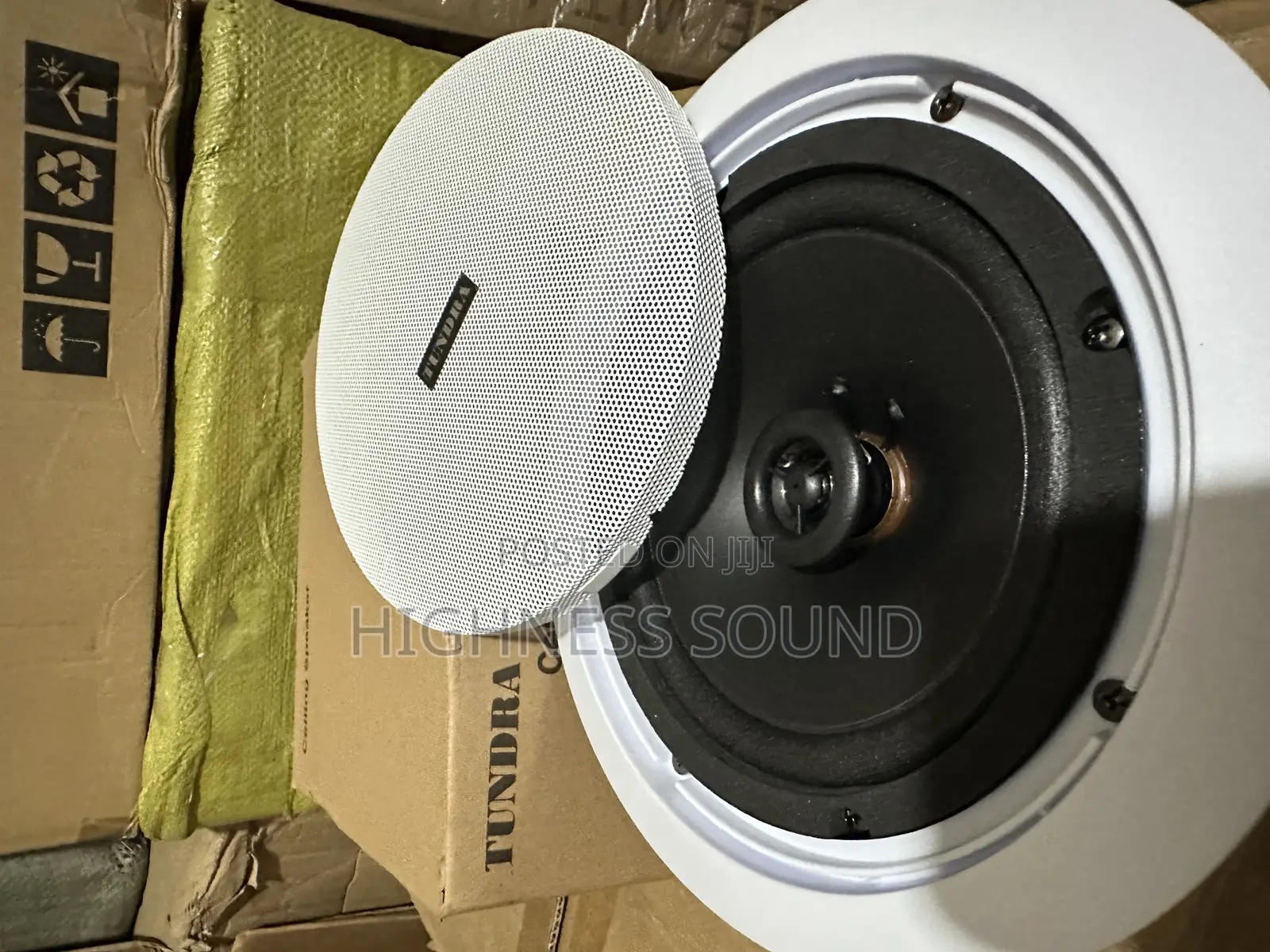 Tundra 30watts Pop Ceiling Speaker