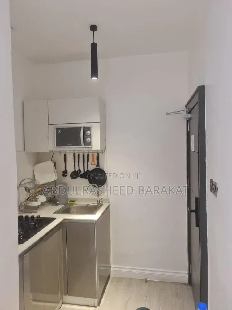 Spacious Studio Apartment