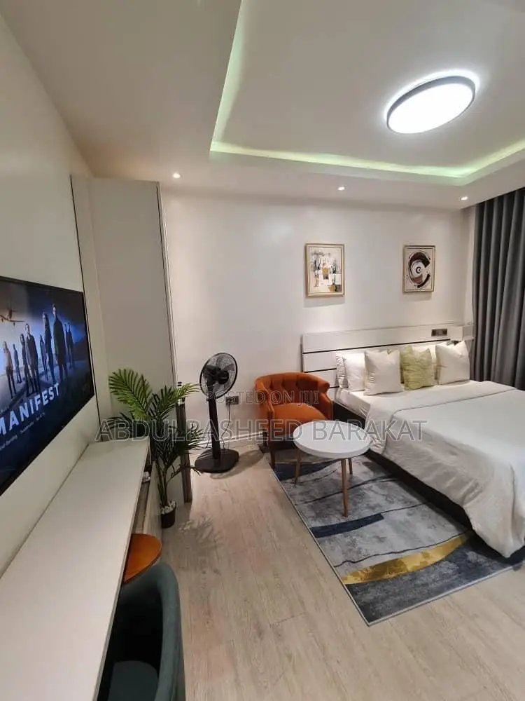 Spacious Studio Apartment