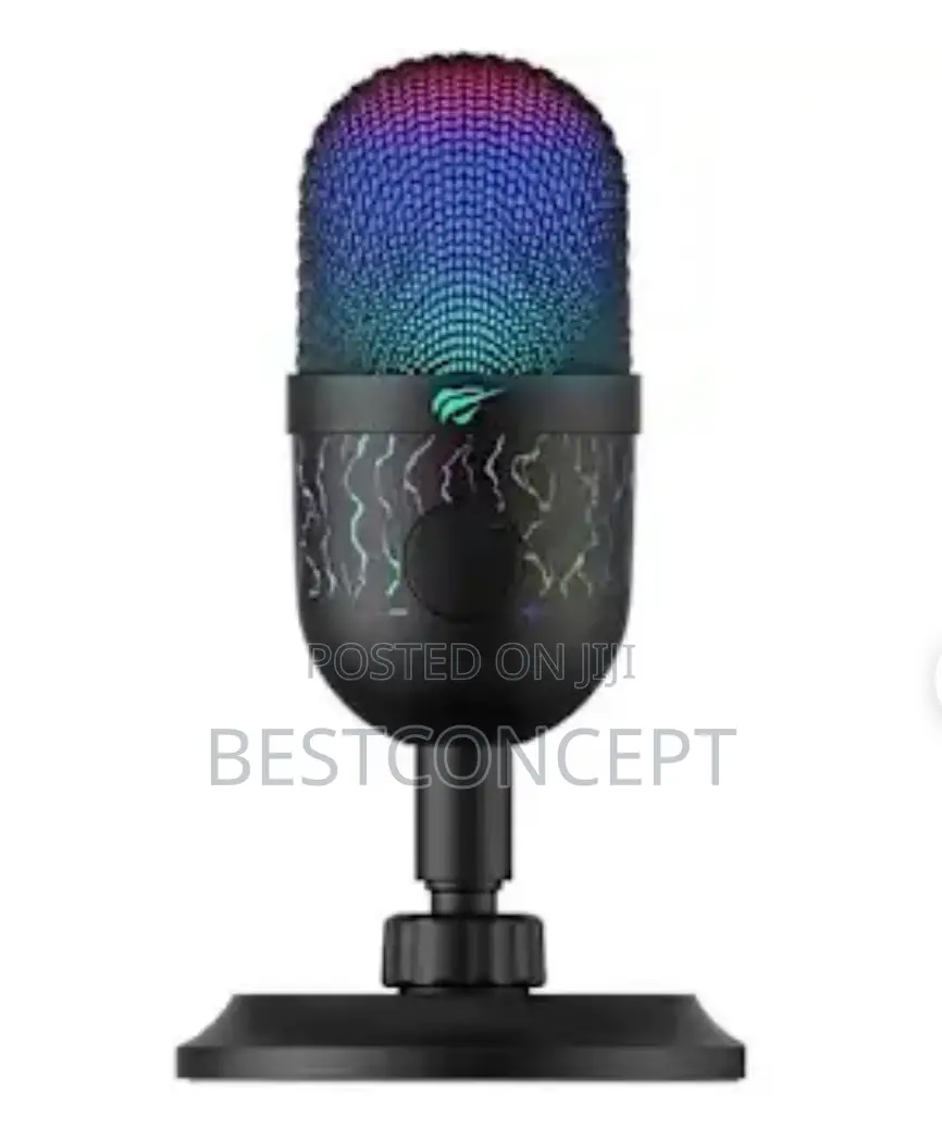 Havit Gk52 RGB Professional Live Microphone