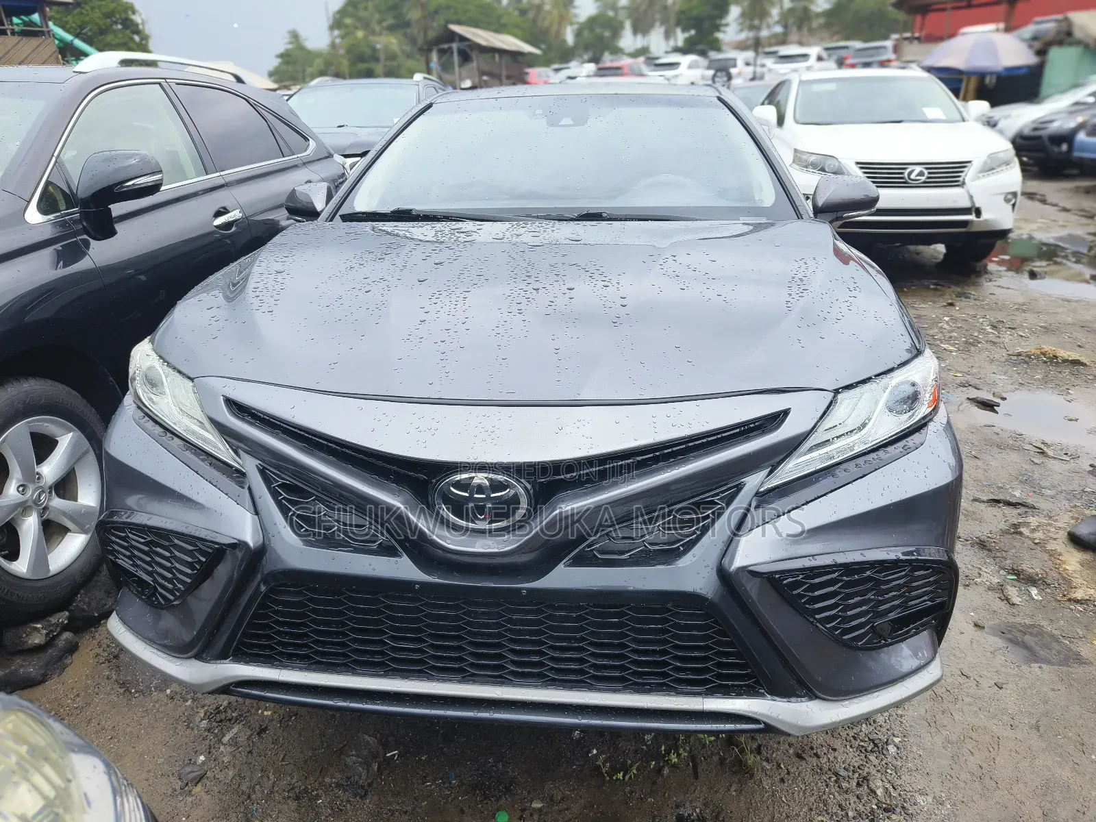 Toyota Camry XLE (2.5L 4cyl 8A) 2019 Gray