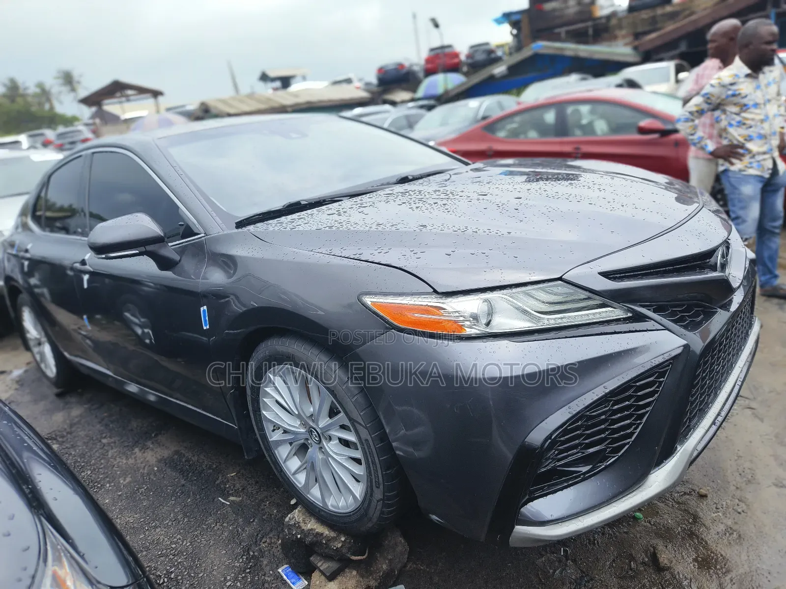 Toyota Camry XLE (2.5L 4cyl 8A) 2019 Gray