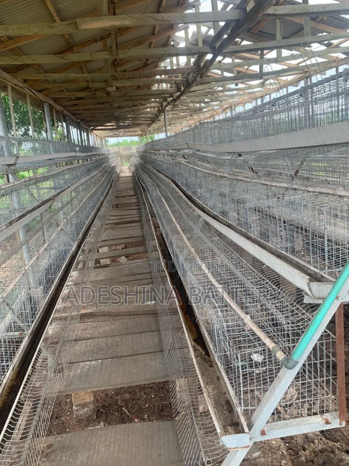 Used Local Fabricated and Imported Battery Cages