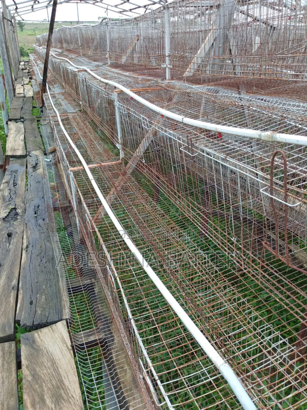 Used Local Fabricated and Imported Battery Cages
