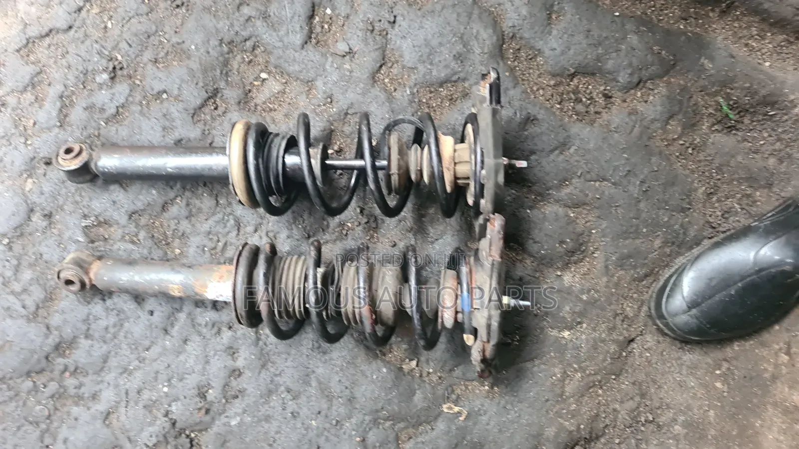 Nissan Almera Tino Shock Observer 1999/ 2000