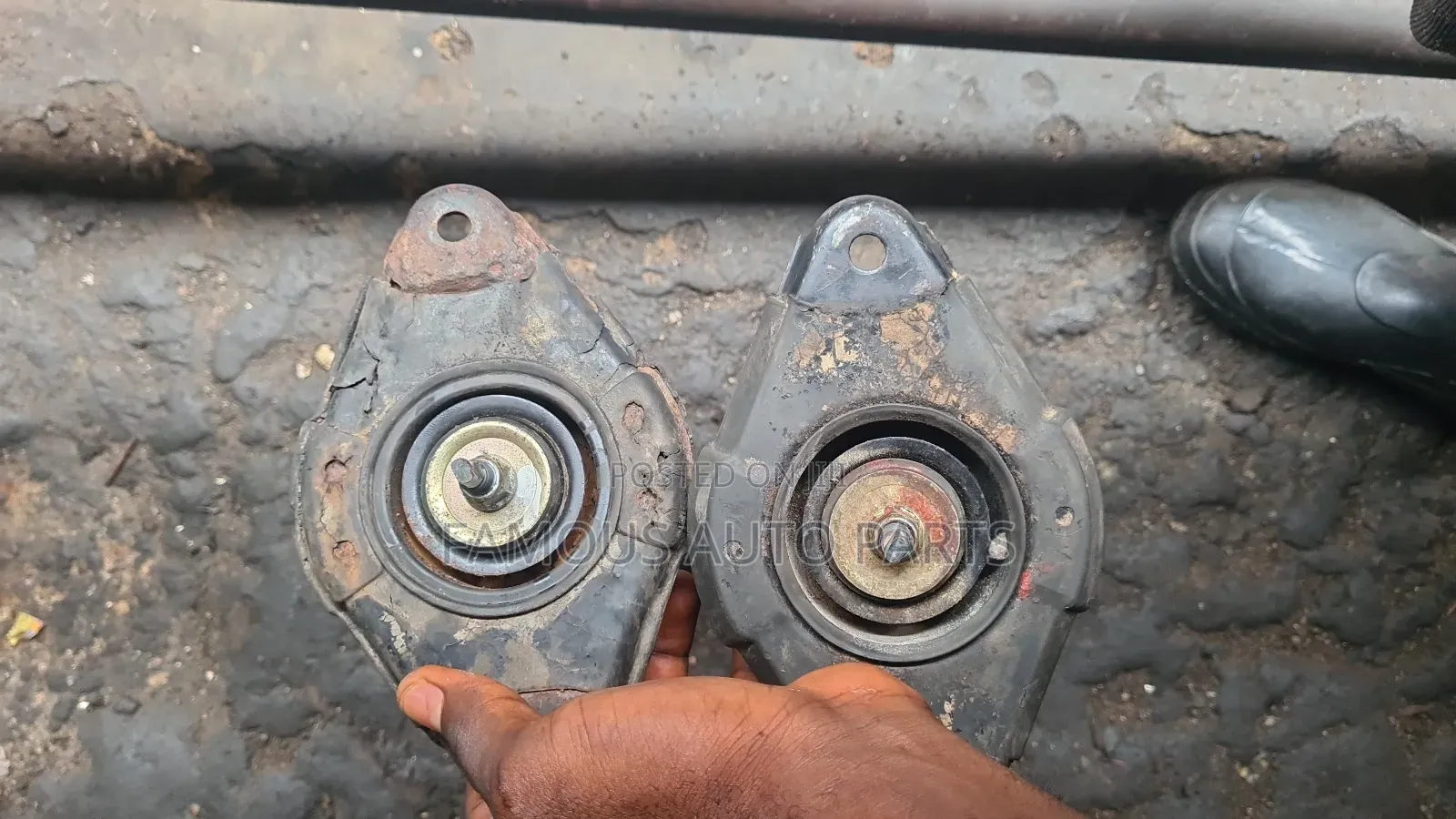 Nissan Almera Tino Shock Observer 1999/ 2000