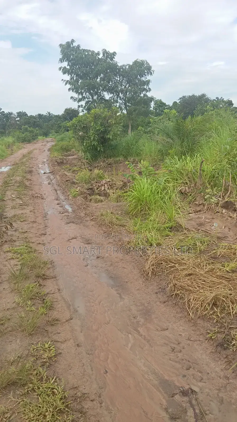 More Than 8 Plots for Sale at Isiagu