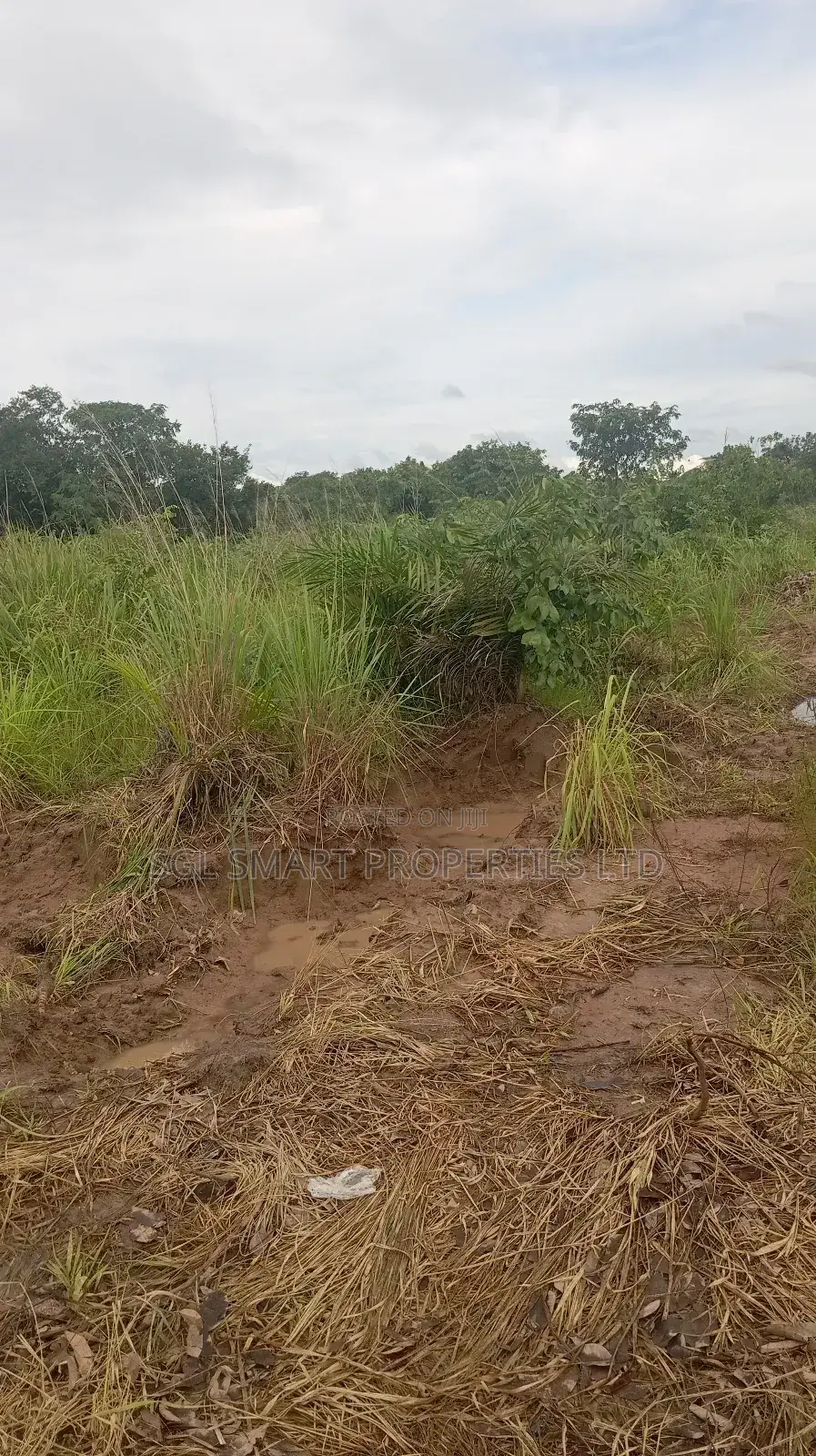 More Than 8 Plots for Sale at Isiagu