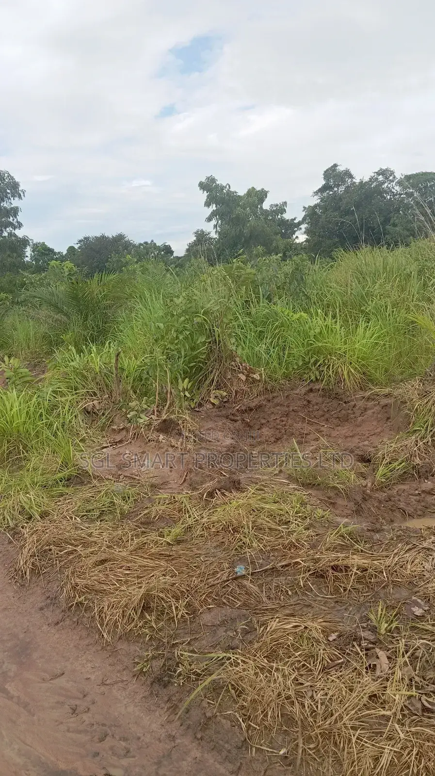 More Than 8 Plots for Sale at Isiagu