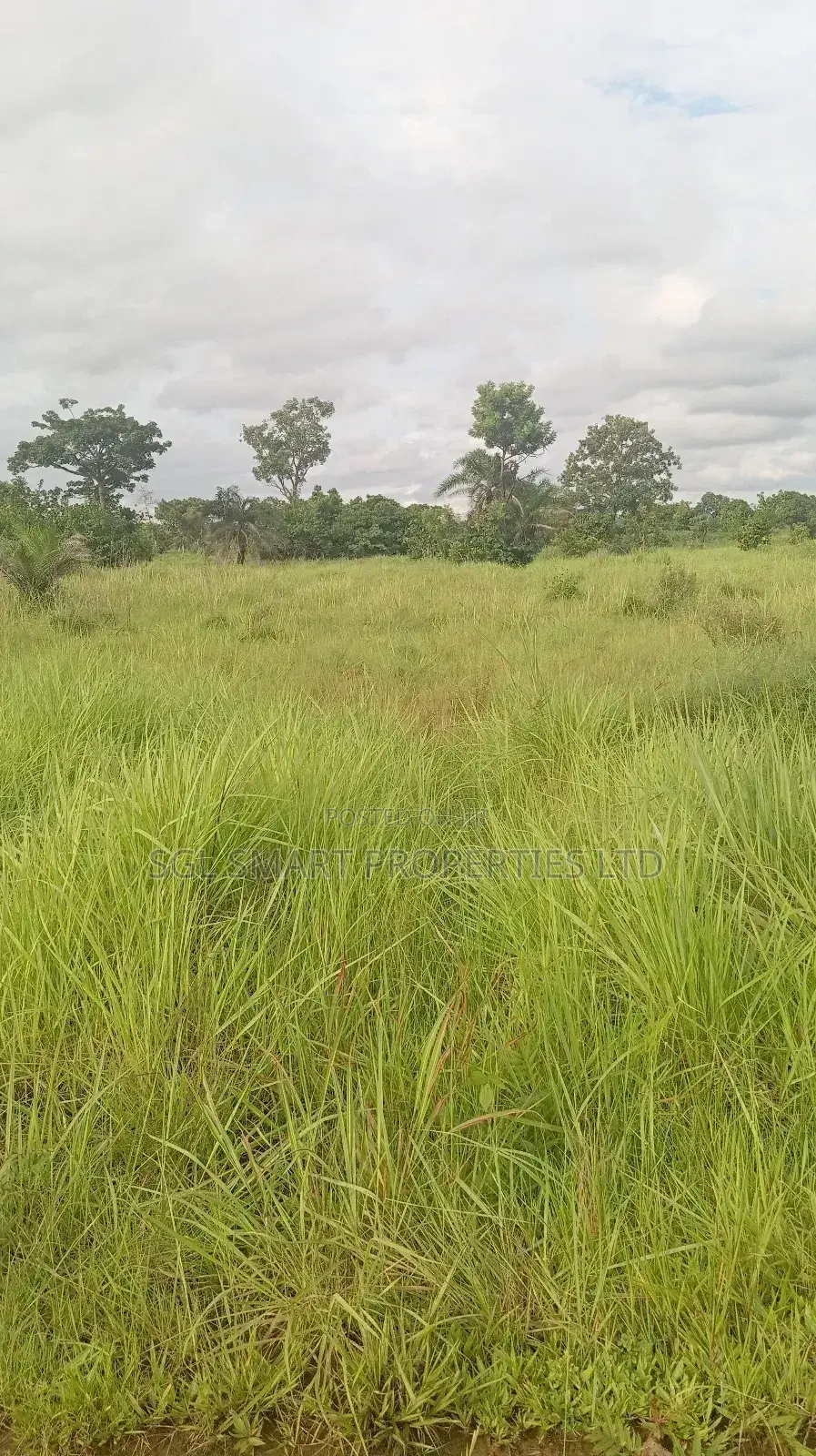 12 Plots of Land for Sale at Isiagu for Sale