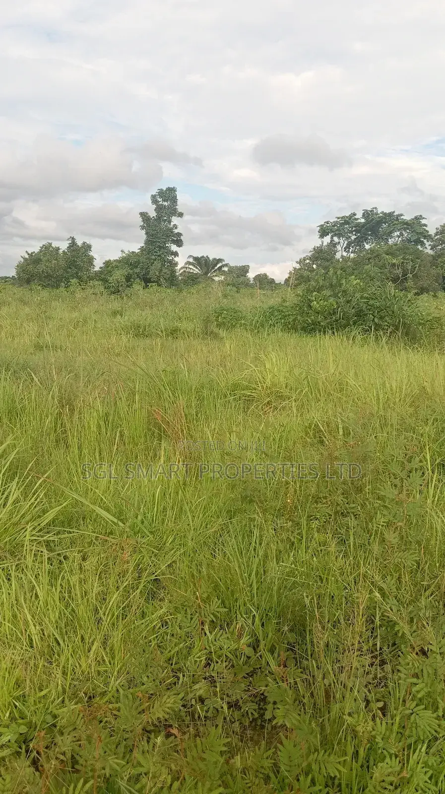 12 Plots of Land for Sale at Isiagu for Sale