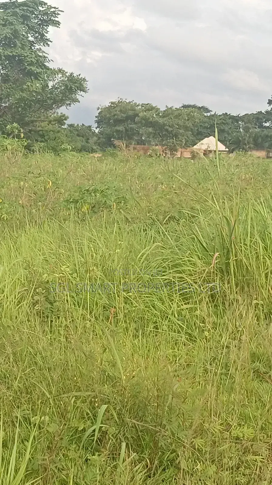 12 Plots of Land for Sale at Isiagu for Sale