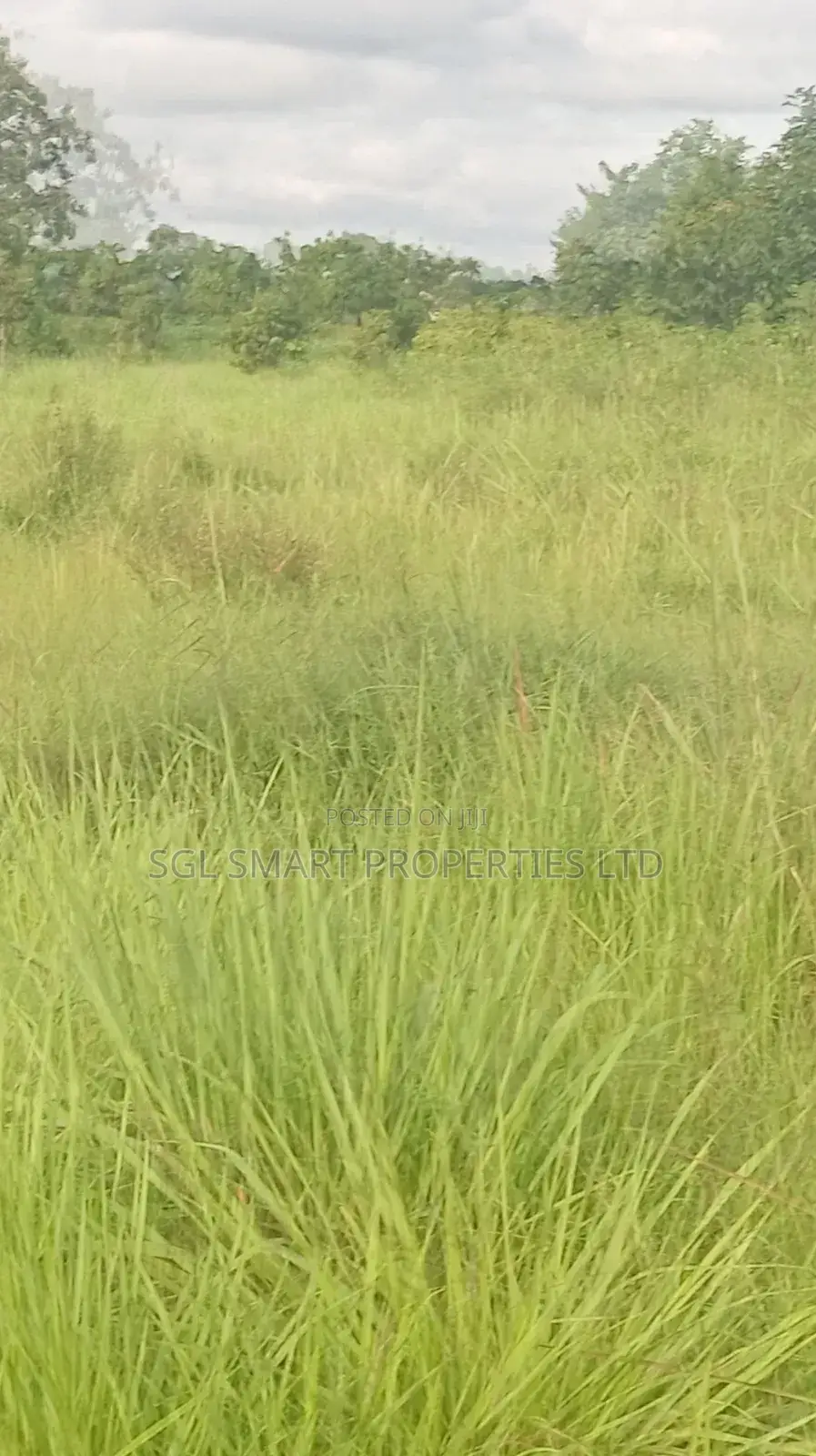 12 Plots of Land for Sale at Isiagu for Sale