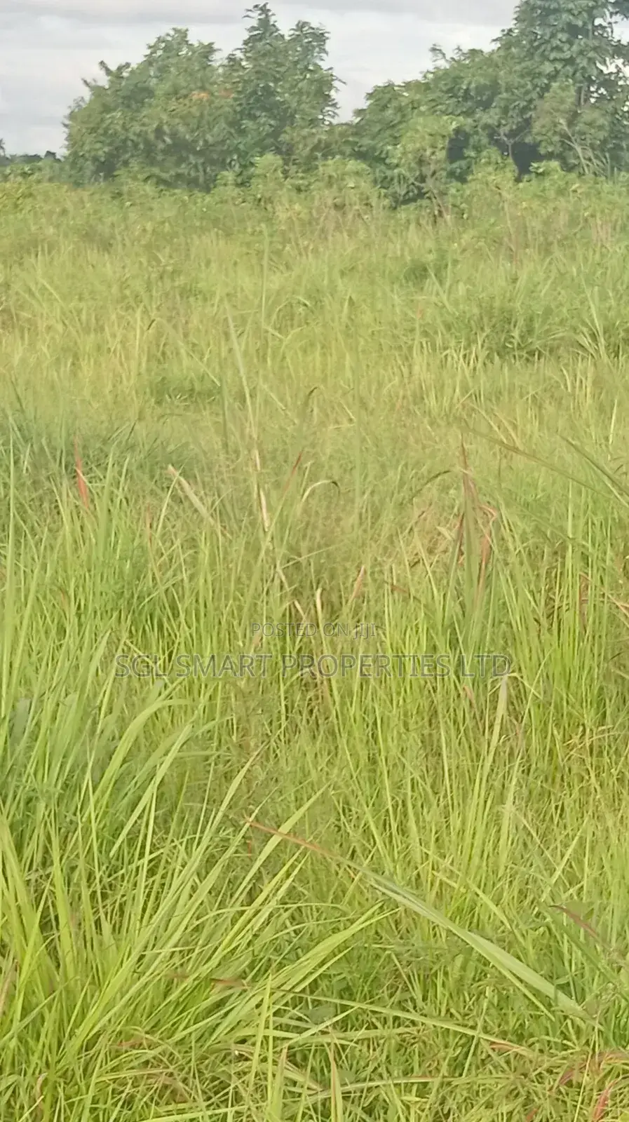 12 Plots of Land for Sale at Isiagu for Sale