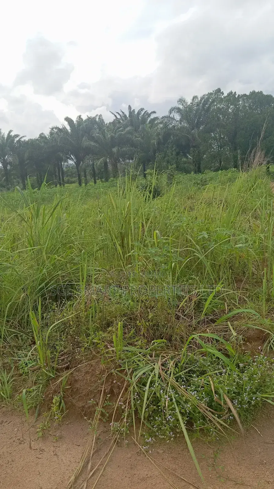 5 Plots of Land for Sale at Isiagu