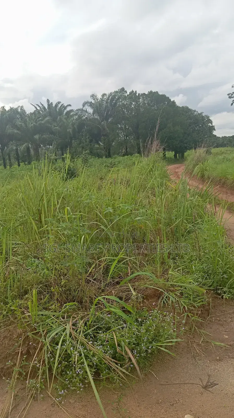 5 Plots of Land for Sale at Isiagu
