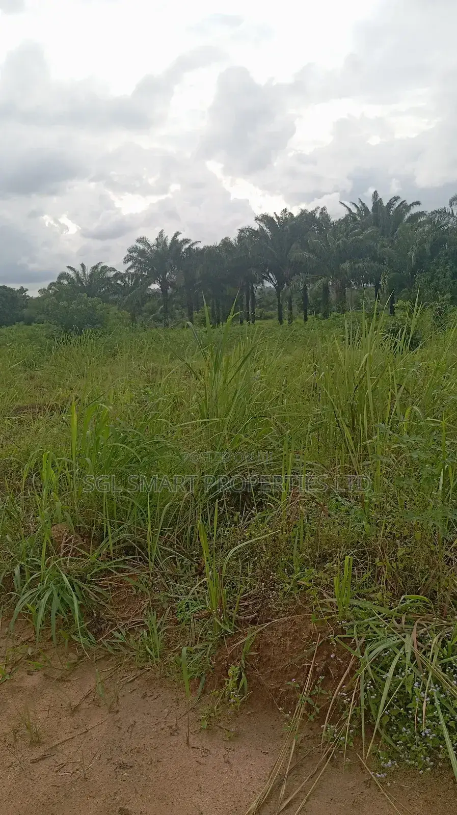 5 Plots of Land for Sale at Isiagu