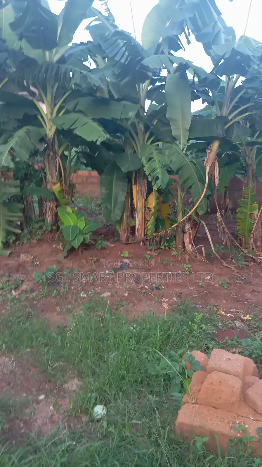 2 Plots of Land for Sale at Isiagu