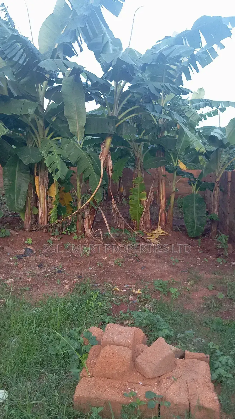 2 Plots of Land for Sale at Isiagu