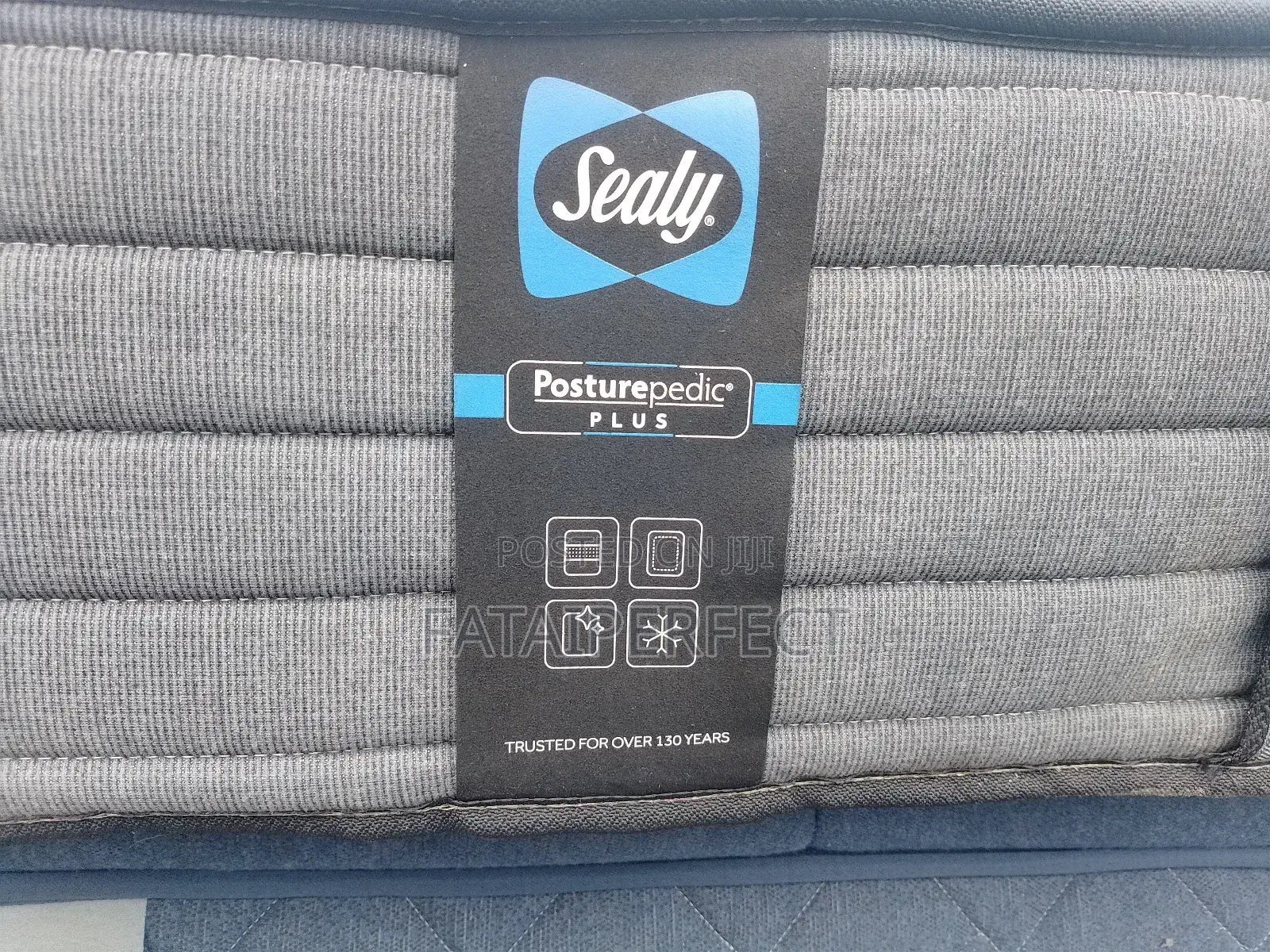 6by6 Canadian Sealy Posturepedic Mattress for Back Pain