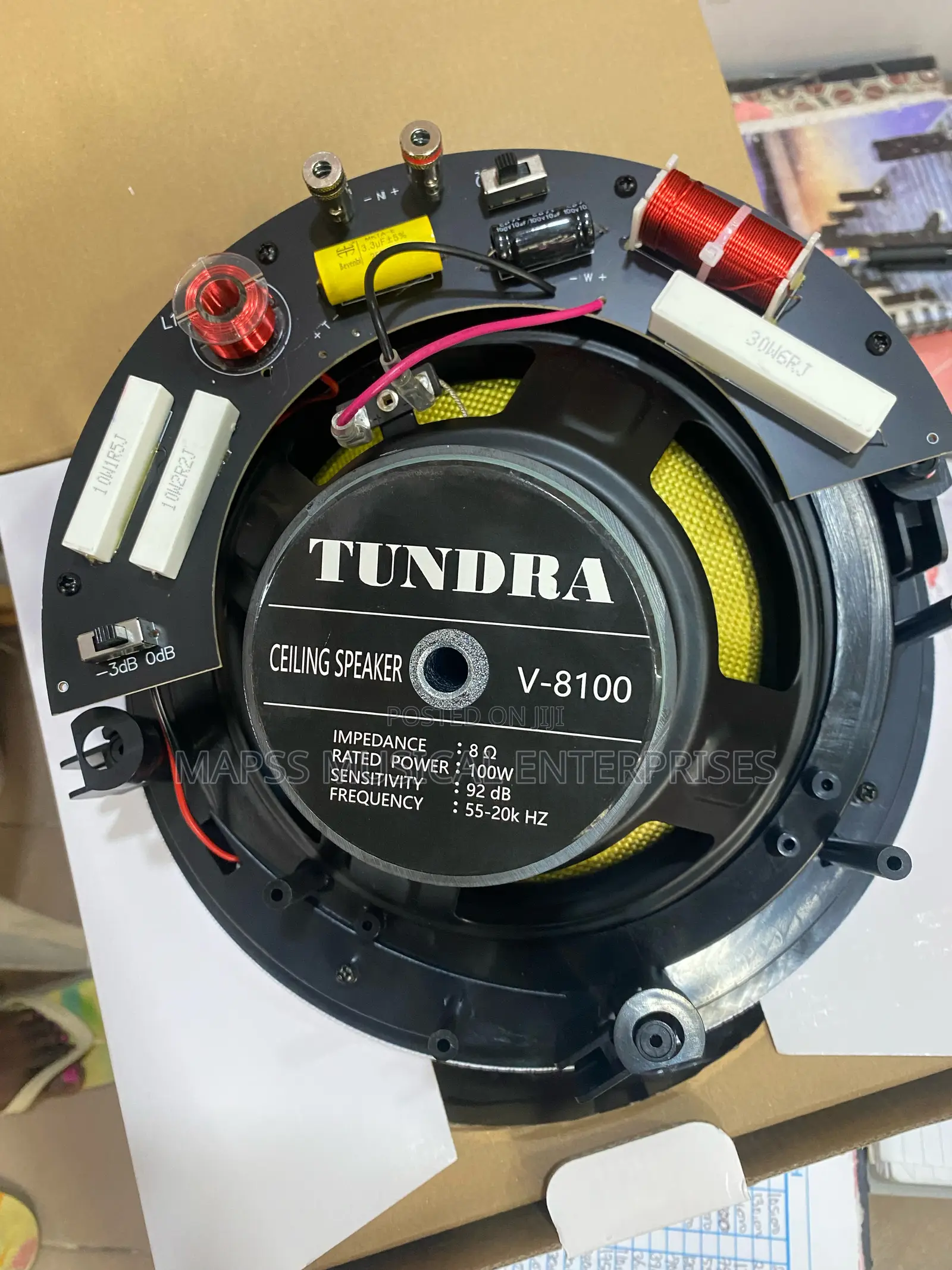 Ceiling Speaker Tundra 80-Watt