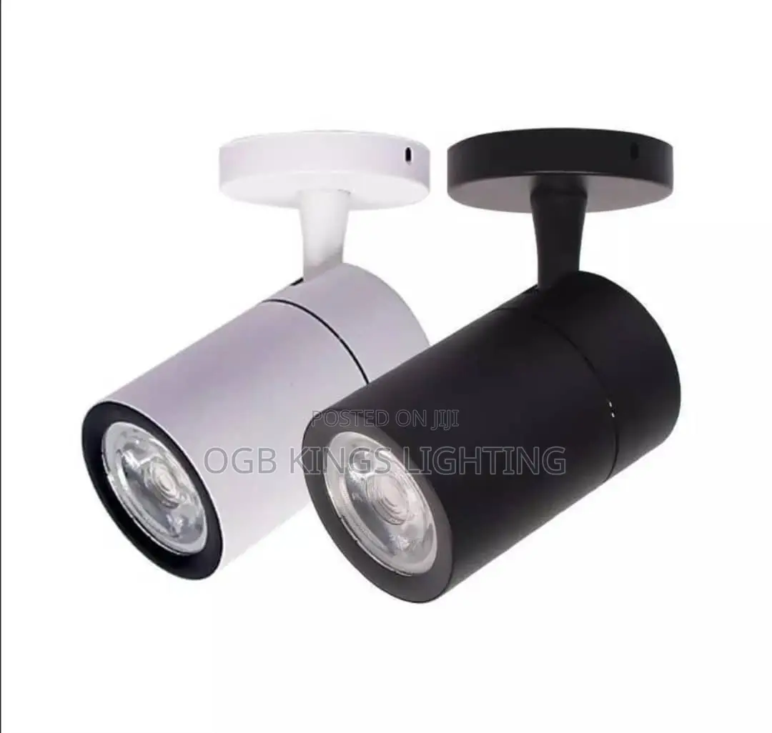 Led Cob Lamp Led Downlights 30w Surface Mounted Ledceiling