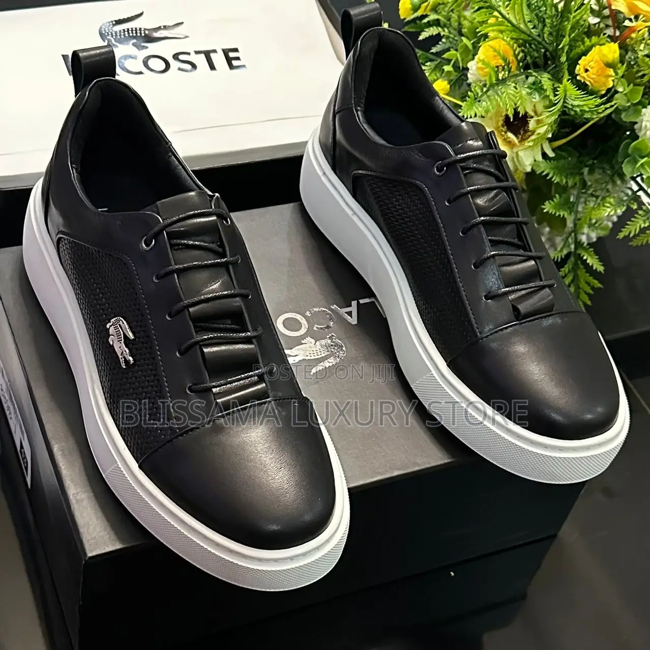 Lacoste Premium Luxury Quality Sneakers